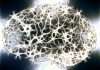 Neuroscience et Psychodrame: Esprit / corps et traumatismes